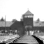 Stop Belittling The Holocaust With Your Stupid Nazi Analogies