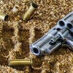 If It Wants to Survive, the NRA Needs to Change