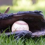 Long Live the Designated Hitter