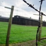 Suddenly, Democrats Are Offended by Nazi Analogies