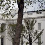 Biden's Big Elections Lie