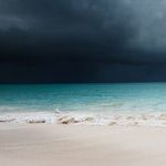 Never Let a Devastating Natural Disaster Go To Waste
