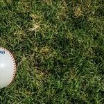 Welcome to Major League Baseball's Struggle Sessions