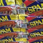 Stop the Email Spam!