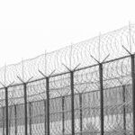 Easing Prison Overcrowding: Who Wins Early Release and Who Doesn't?