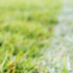 Brain Disease, Football and the NFL's Culpability