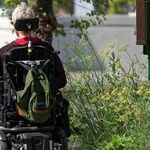 Plundering Grandma's Estate Via Court-Ordered Guardianships