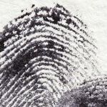 What Would You Do as a Witness to a Crime?