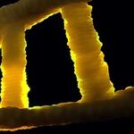 Shaking the Family Tree to Solve Crimes