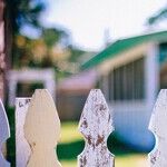 The Psychopath or Sociopath Next Door