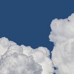 Partisan Politics Clouds Clear Thinking on Election Fraud