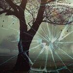 Getting Away With Murder in America