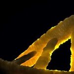 Advances in DNA -- a Detective's Best Friend