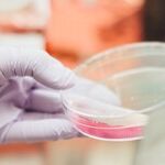 Science and Making Babies: Buyer Beware