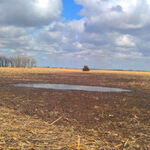 Federal Overreach: The Nation's Most Expensive Mud Puddle.