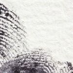 Police Can Legally Lie to You -- In Most States