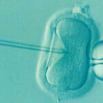 Science and Making Babies: Buyer Beware