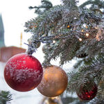 This Season, Spread the Joy