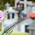 A Meaningful Life