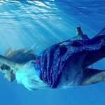 Be a Mermaid
