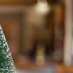 The Smell of Maple and Light in the Darkness