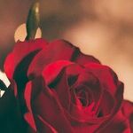 A Punch to the Heart