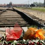 Pokemon at Auschwitz