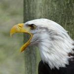 Get Out Of The Republican Party!