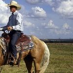 On the Loose in America: I Don't Need No Stinking Photo ID