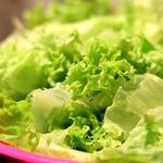 Lettuce Give Thanks