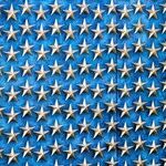 Treating Veterans Like Dogs