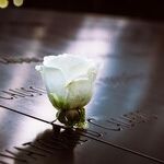A Piece of Cheesecake for 9/11