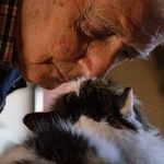 Of Cats and Men