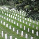 The Noble Dead