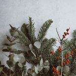 A Santa by Any Other Name