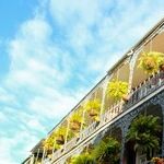 An Easy One Dies in the Big Easy