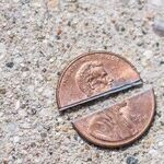 Abe Lincoln and the Penny