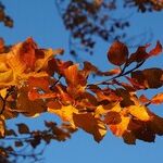 A Bittersweet Goodbye to the Summer of 2017
