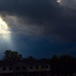 Virginia, a Ray of Light on a Rainy Day