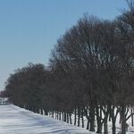 Washington's Perfect Storms, Inside and Out