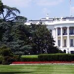 The Busy House, the Lazy Senate and the Crazy White House