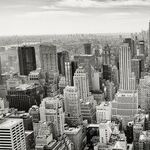 Trump's Personal Politics Mean a Cruel April for American Cities