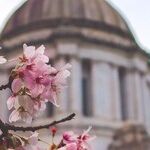 John Lewis: Crossing the Bridge To Bend Arc of Justice