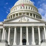 Profiles in Cowardice: The Mob Still Haunts the Halls
