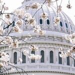 Don't Fence the Capitol In or Out