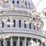 A Vote on Voting Rights: A stress test for Democracy