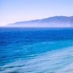 California Dreamin': A Rude Awakening