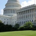 A Sweet Summer Day in The Senate