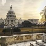 Three 'D's': Keys to a Blue Senate