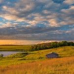 The Heartland After Heartburn: Wisconsin and Washington